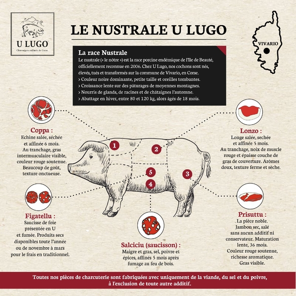 Le porc nustrale U Lugo-www.charcuterie-corse.co